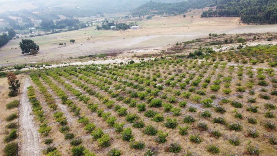 3 Bedroom Property for Sale in Klein Drakenstein Western Cape